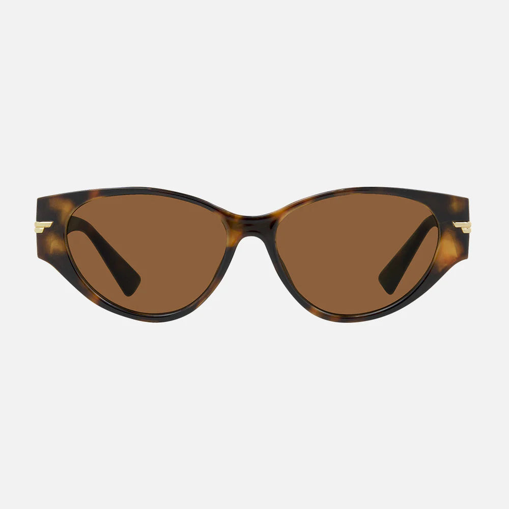 CARVE Rhode Sunglasses